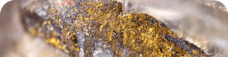 Goldborse-Goldankauf-Blogpost-Goldrausch2024-min.png